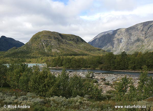 Národný park Dovrefjell (N)