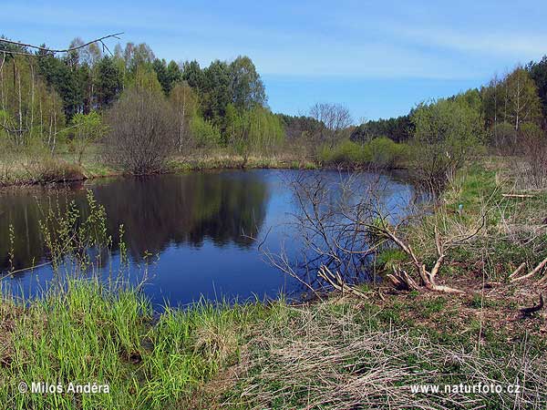 Národný park Dzūkijos (LT)