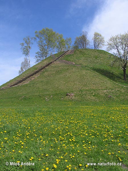 Národný park Dzūkijos (LT)