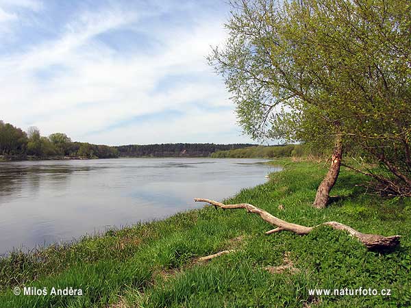 Národný park Dzūkijos (LT)