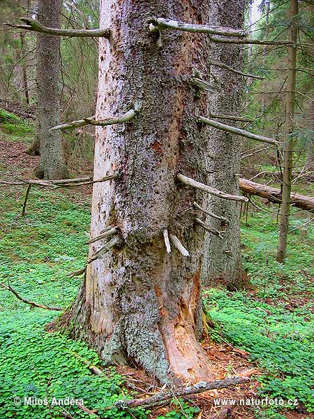 Národný park Garphyttan (S)