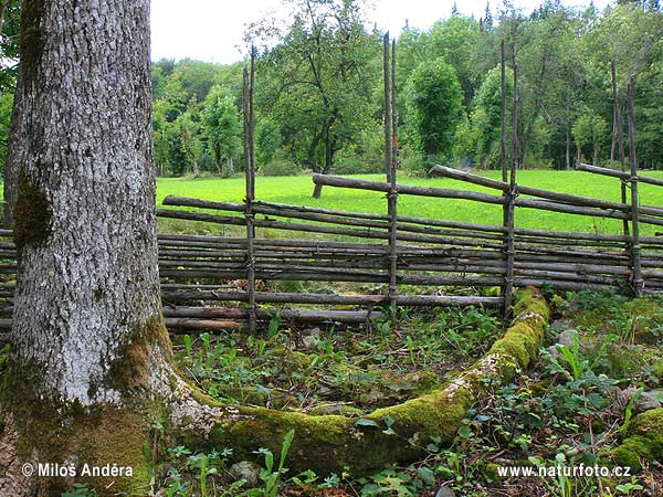 Národný park Garphyttan (S)