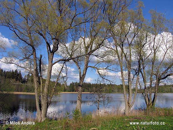 Národný park Gaujas (LV)