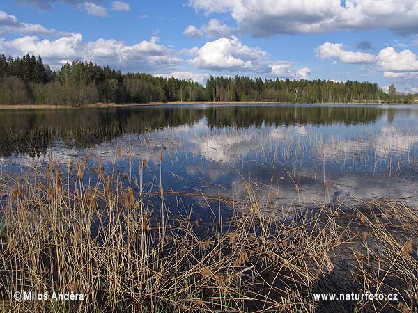 Národný park Gaujas (LV)