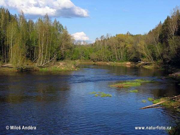 Národný park Gaujas (LV)