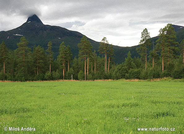 Národný park Junkerdal (N)