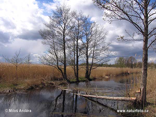 Národný park Kemeri/Kemeru (LV)