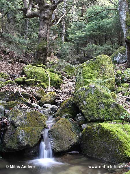 Národný park Oiti/Itis (GR)