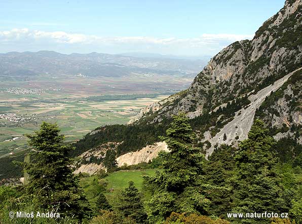 Národný park Oiti/Itis (GR)