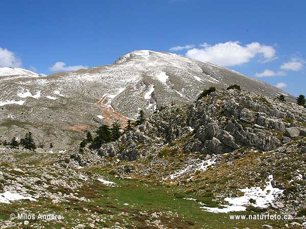 Národný park Parnassos (GR)