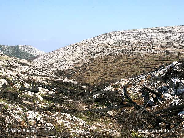 Národný park Parnitha (GR)