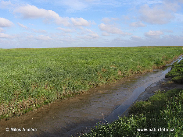 Národný park Schleswig-Holsteinisches Wattenmeer (DE)