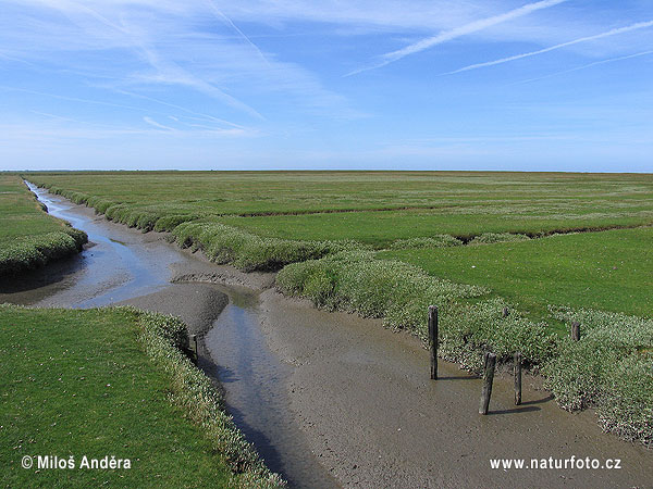 Národný park Schleswig-Holsteinisches Wattenmeer (DE)