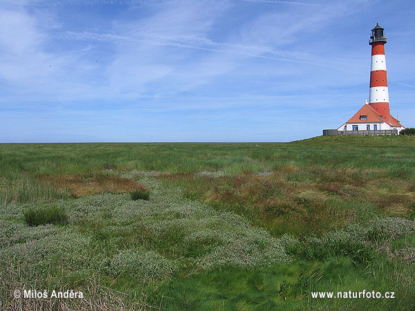 Národný park Schleswig-Holsteinisches Wattenmeer (DE)