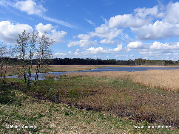 Národný park Žemtijos (LT)