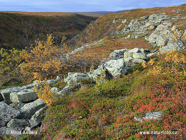 NP Varanger (Varangerhalvøya) (N)