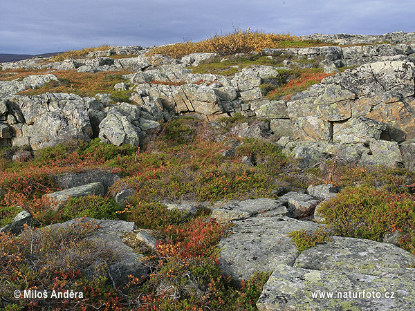 NP Varanger (Varangerhalvøya) (N)