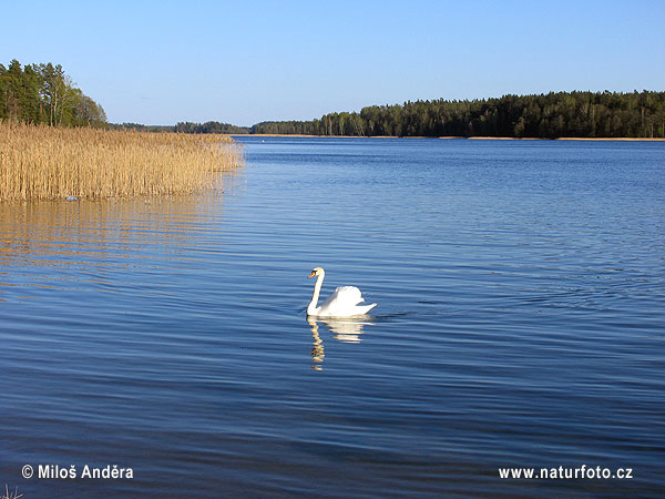 Poľsko (PL)