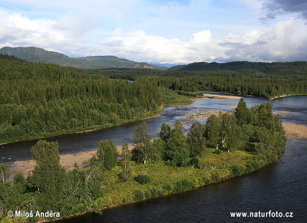 Reka Bergfossen (N)