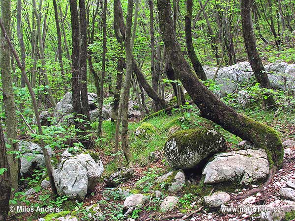 Triglavský národný park (SLO)