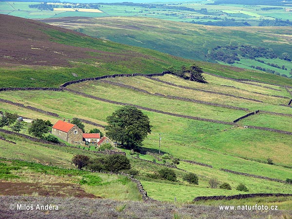 Velká Británie (UK)