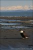 USA - Aljaška (<em>Alaska, USA</em>)