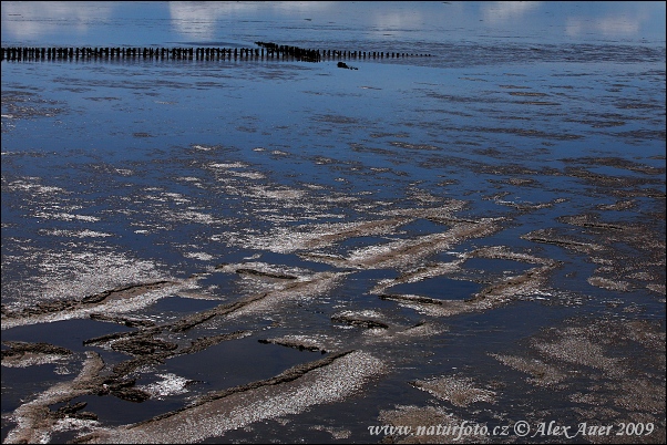 Národný park Schleswig-Holsteinisches Wattenmeer (DE)