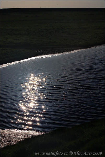 Národný park Schleswig-Holsteinisches Wattenmeer (DE)