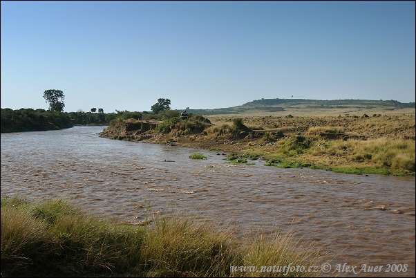 Řeka Mara (KA)