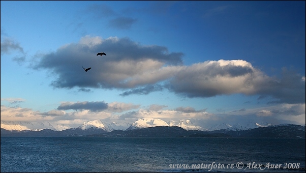 USA - Aljaška (Alaska, USA)