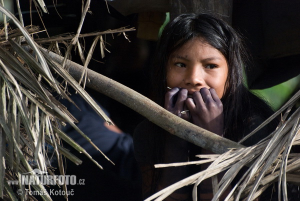 Emberá (Embera)