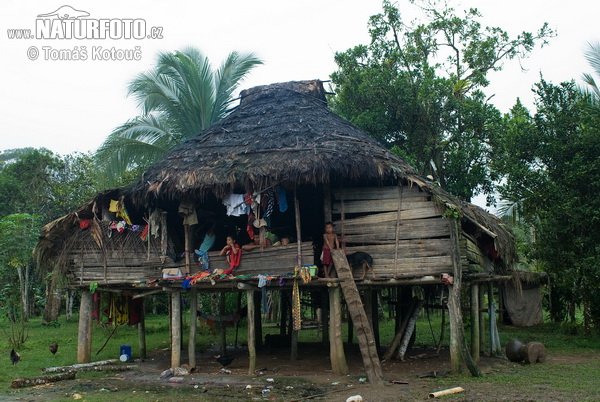 Emberá (Embera)