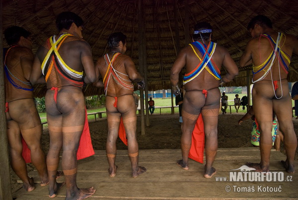 Emberá (Embera)