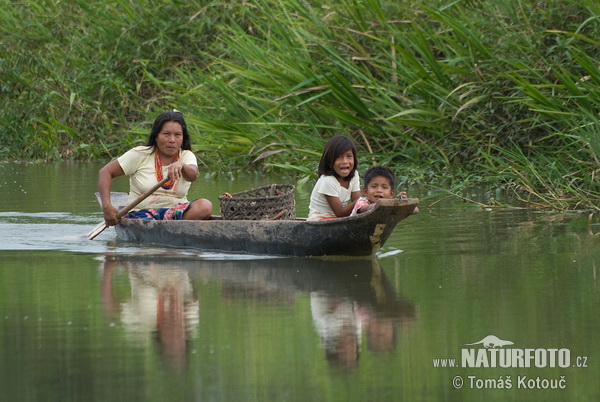 Emberá (Embera)