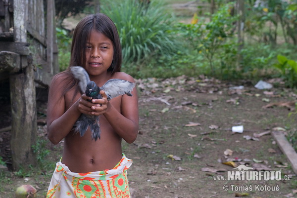 Emberá (Embera)