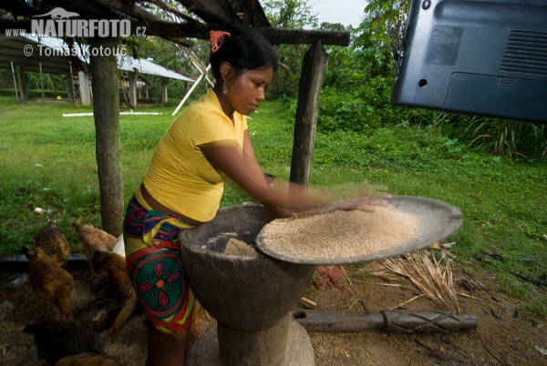 Emberá (Embera)