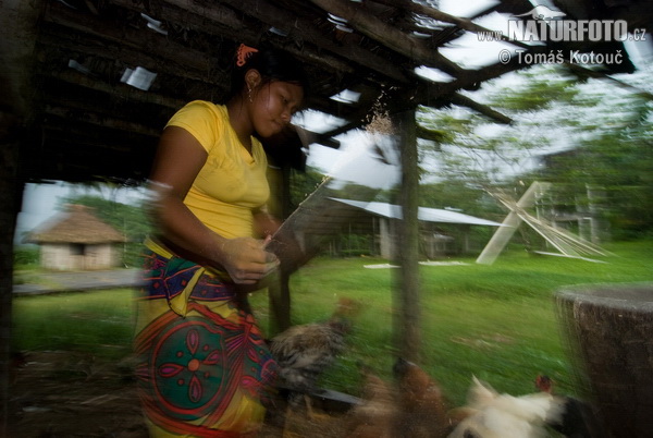 Emberá (Embera)