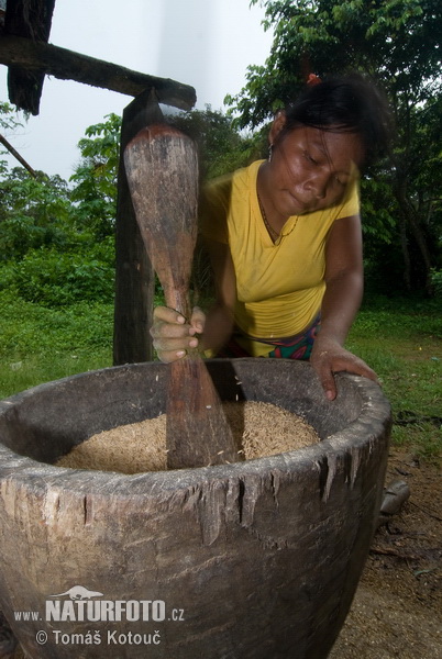 Emberá (Embera)