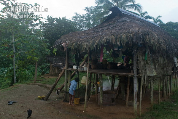 Emberá (Embera)