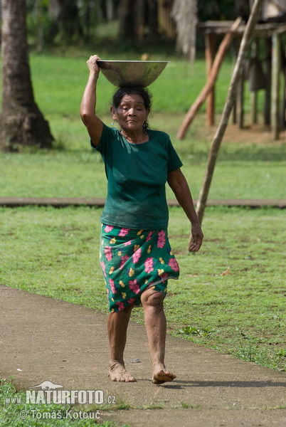 Emberá (Embera)