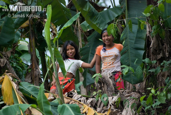 Emberá (Embera)