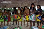 Emberá (<em>Embera</em>)