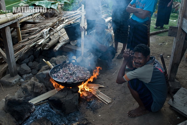 Ngada (Ngada)