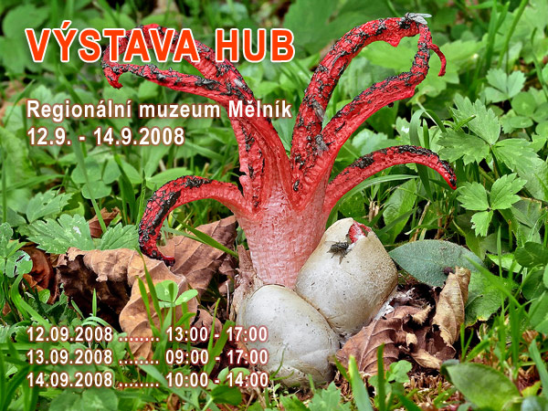 Výstava hub v Mělníku - 2011 (Regionalni muzeum)