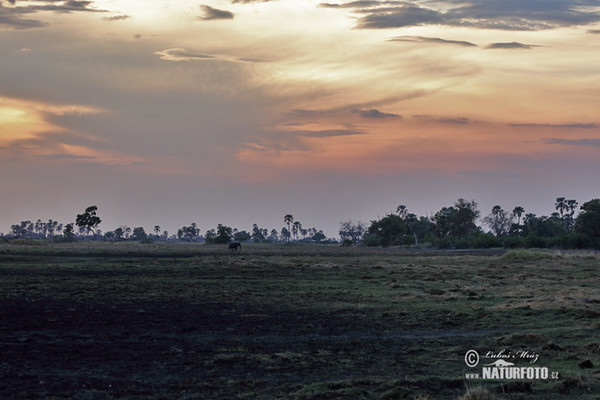 Botswana (BW)