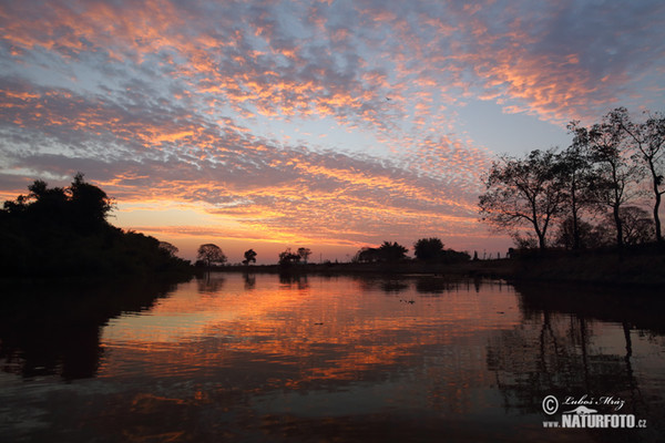 Brazílie, BR (Brasil, BR)