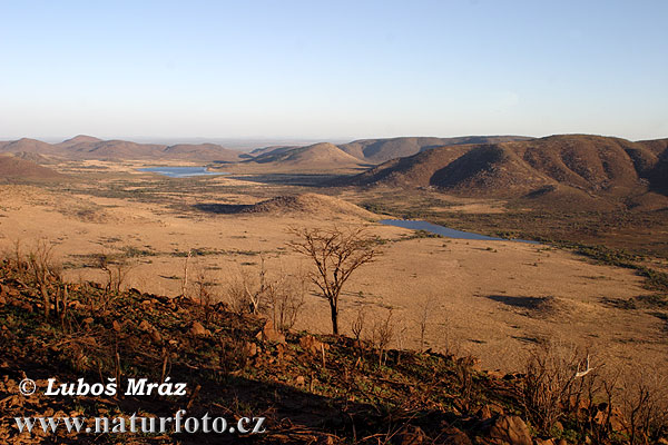 Južná Afrika (ZA)