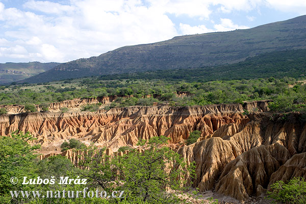 Južná Afrika (ZA)