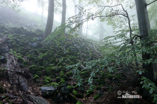 Lužické hory (Luzh)