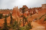 Bryce kaňon (<em>Utah, USA</em>)